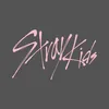 Stray Kids TikTok